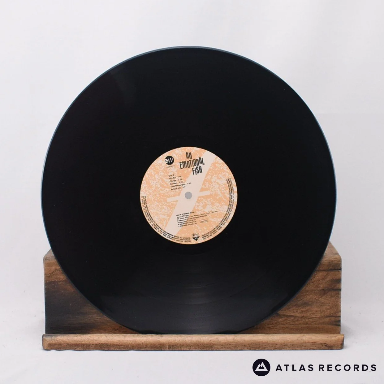 An Emotional Fish - An Emotional Fish - LP Vinyl Record - EX/EX - Image 5
