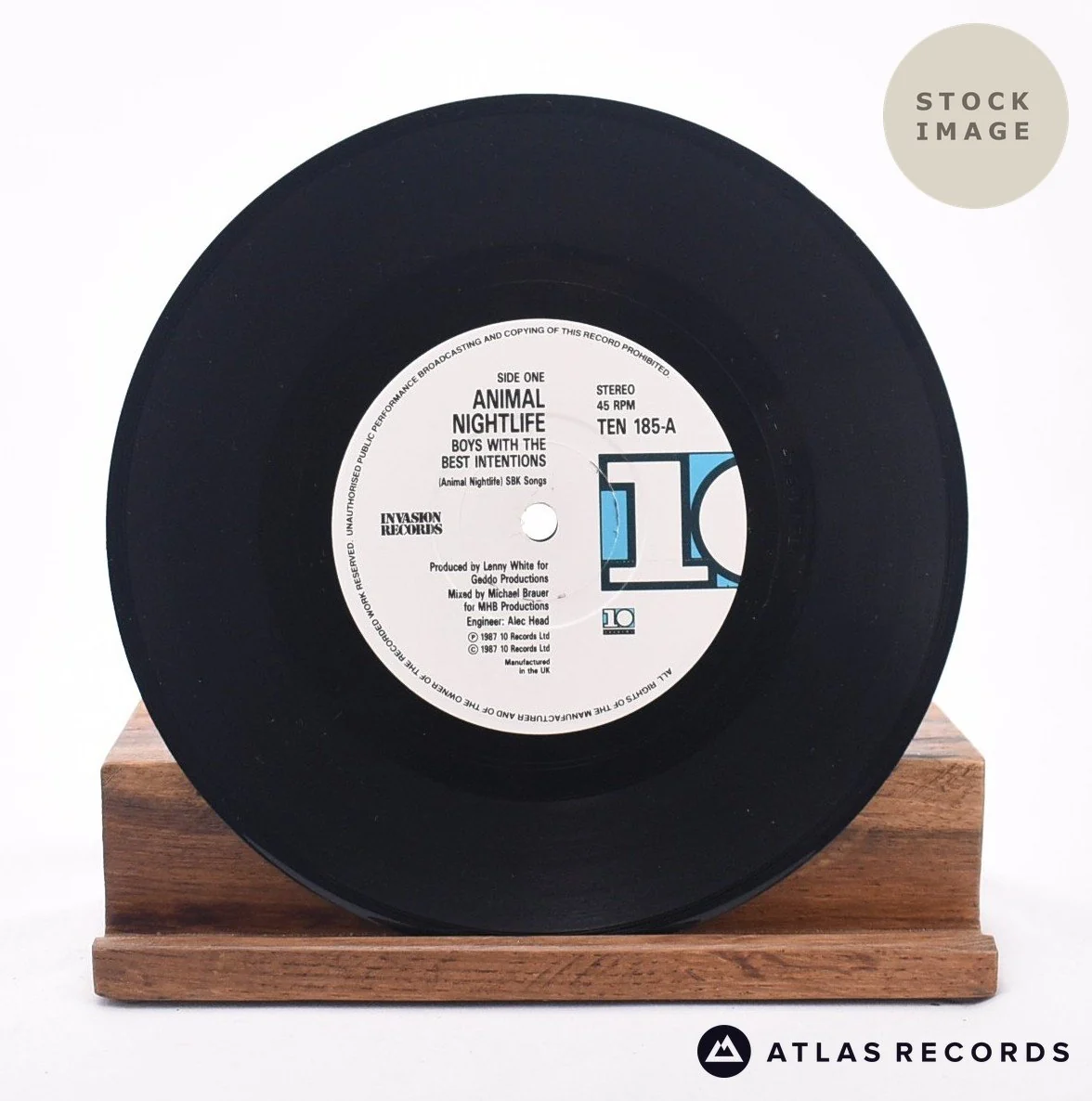 Animal Nightlife - Boys With The Best Intentions - 7" Vinyl Record - Image 3
