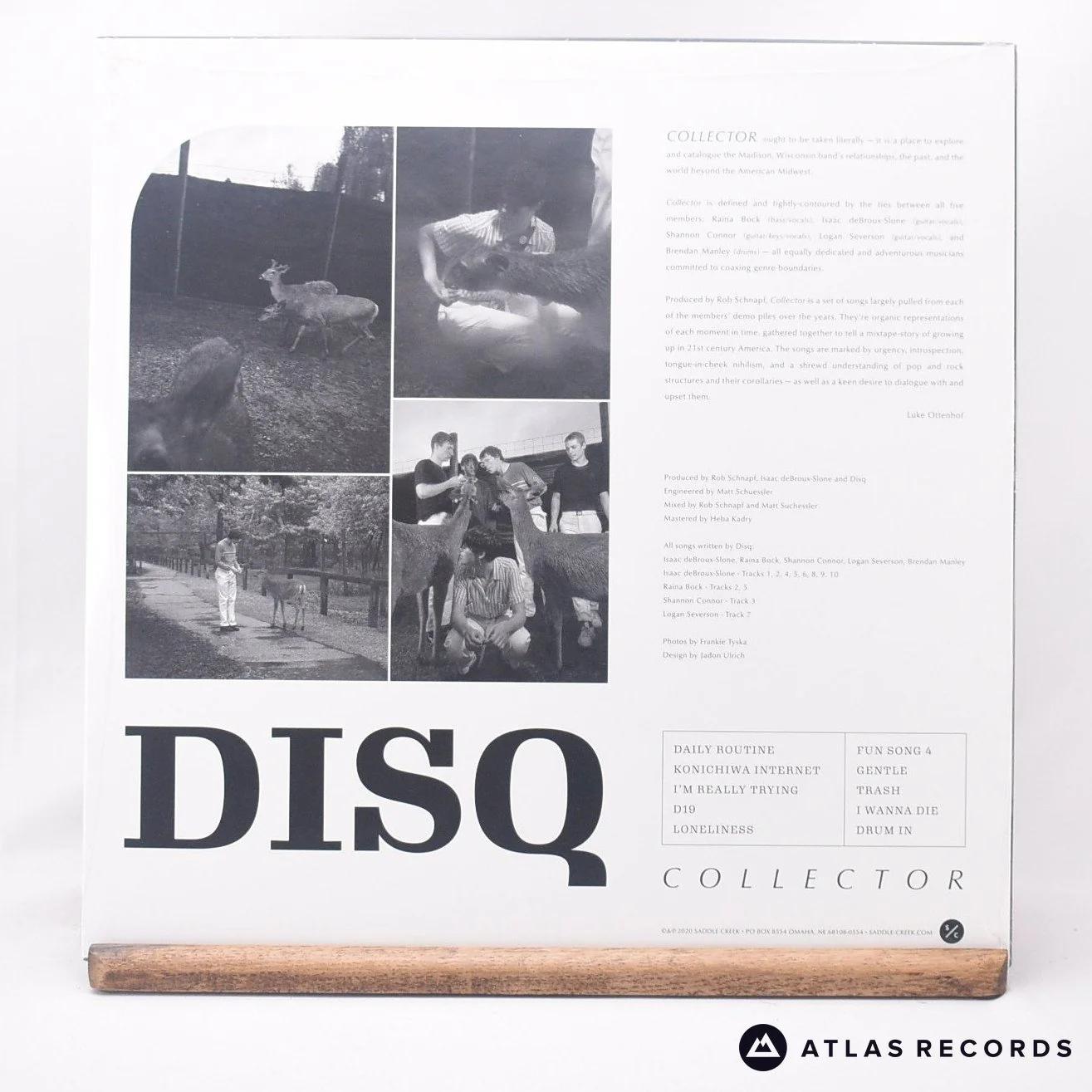 Disq - Collector - Sealed LP Vinyl Record - NEWM - Image 2