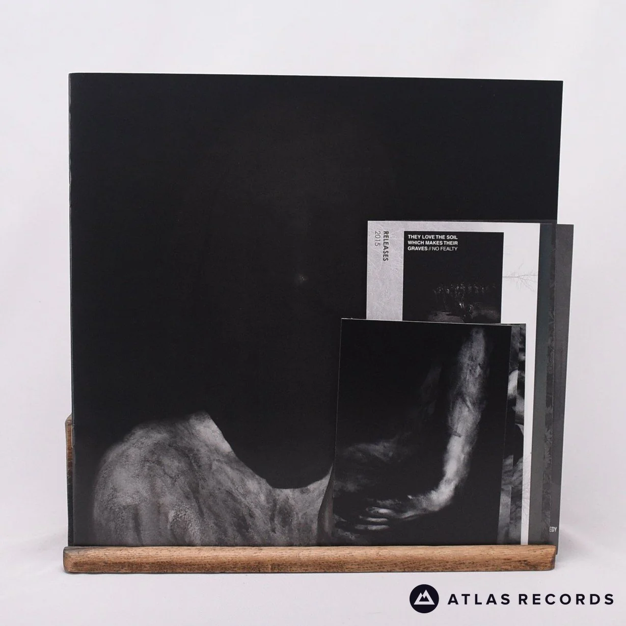 Fawn Limbs - Darwin Falls - LP Vinyl Record - Image 6