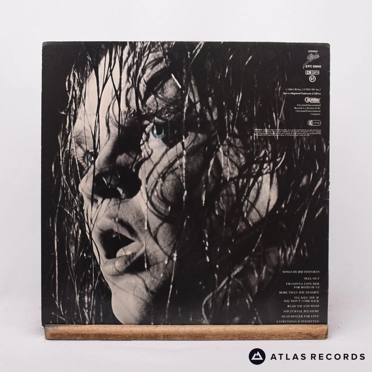 Meat Loaf - Dead Ringer - LP Vinyl Record - EX/EX - Image 2