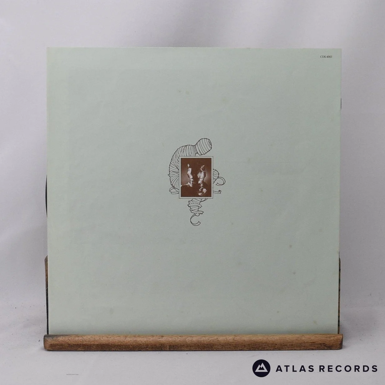 The Alan Parsons Project - Tales Of Mystery And Imagination • Edgar A - LP Vinyl - Image 4