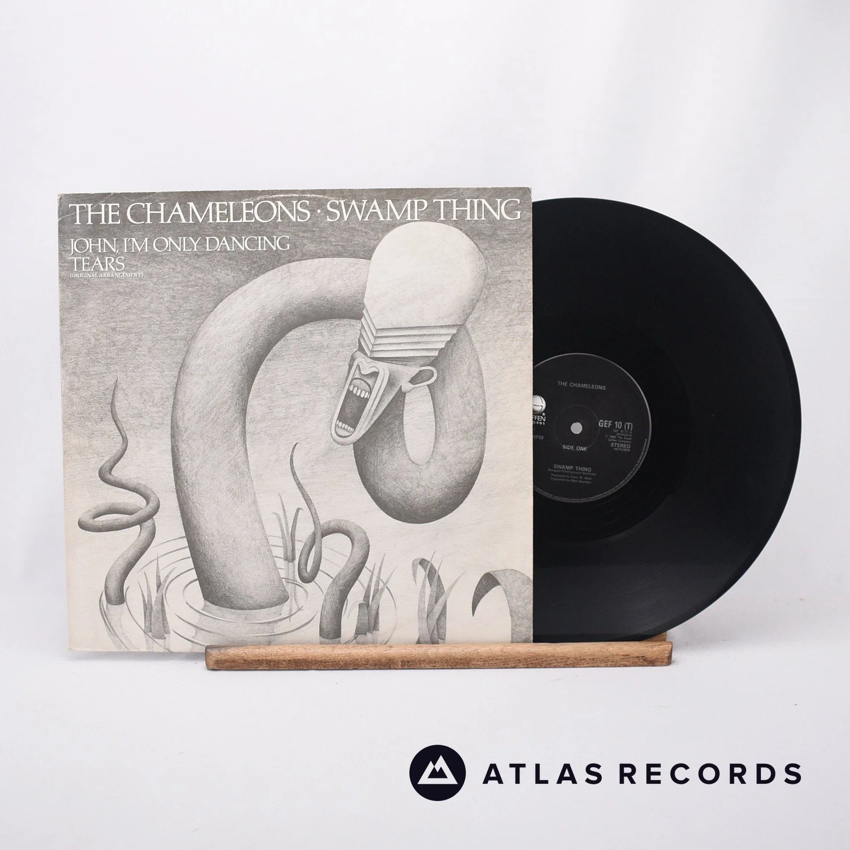 The Chameleons - Swamp Thing - 12" Vinyl Record - VG+/VG