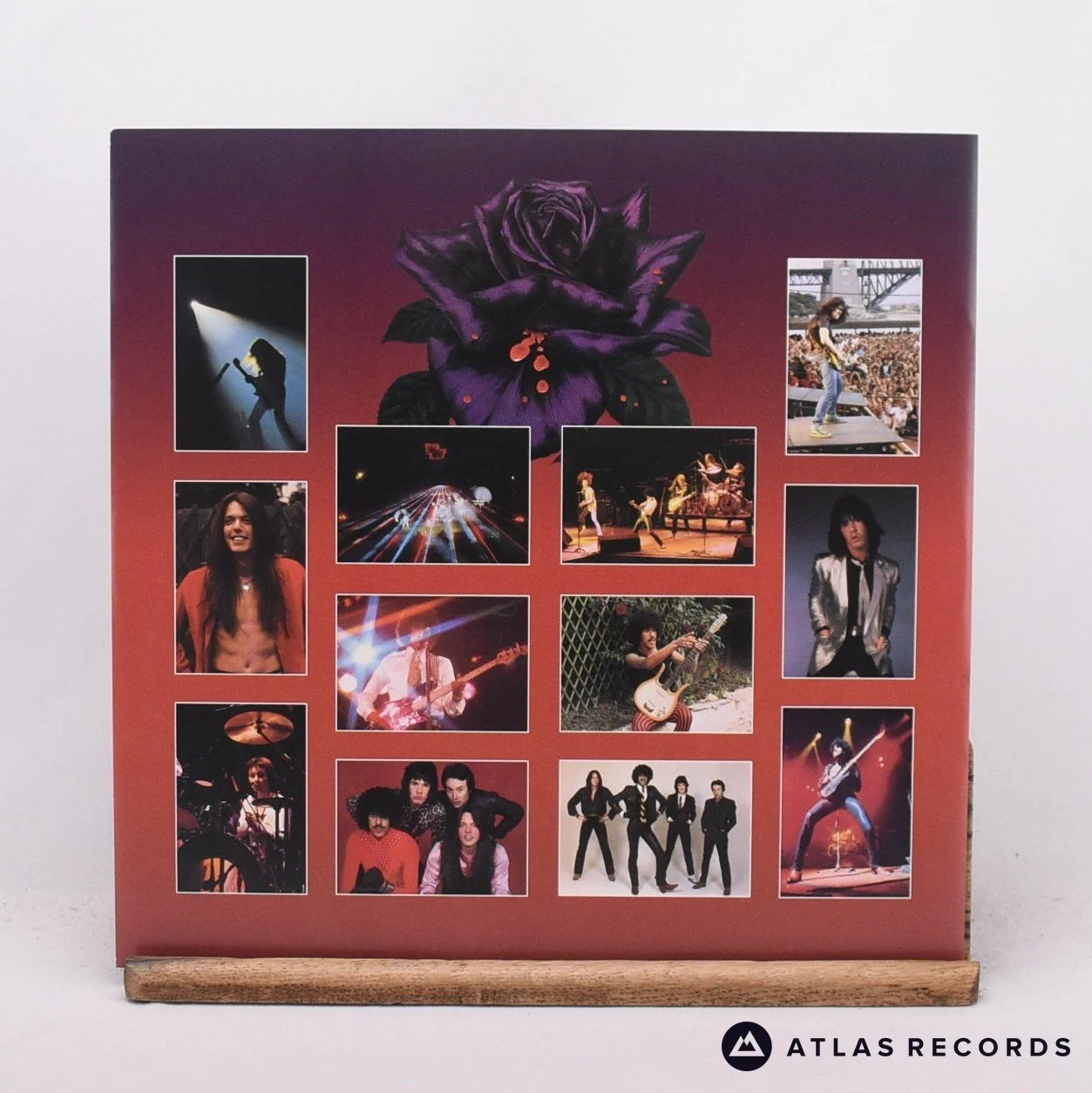 Thin Lizzy - Black Rose - Reissue LP Vinyl Record - NM/NM - Image 3